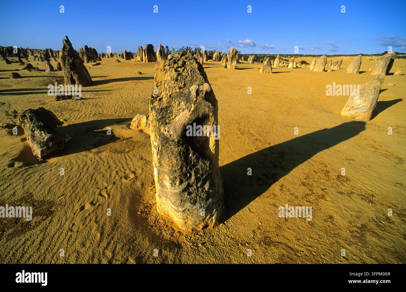 Formazioni rocciose erose proiettano lunghe ombre sulla sabbia gialla al sole basso nel Parco Nazionale di Nambung, Australia Occidentale Foto Stock