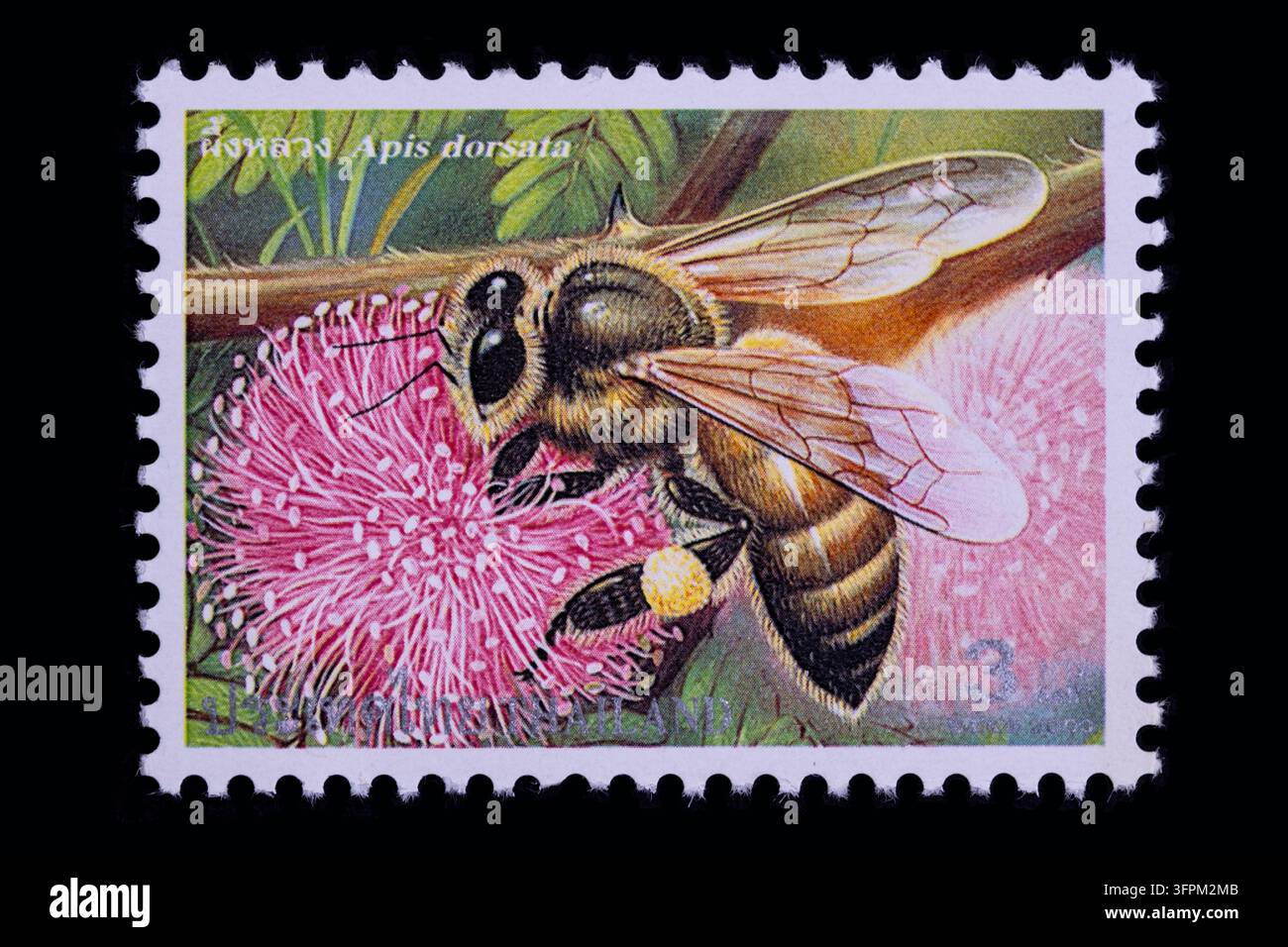Chiang Mai, Thailandia: Francobollo thailandese non usato da 3 baht della serie delle api del 2000 con un'ape gigante Apis dorsata che raccoglie polline su un fiore rosa Foto Stock