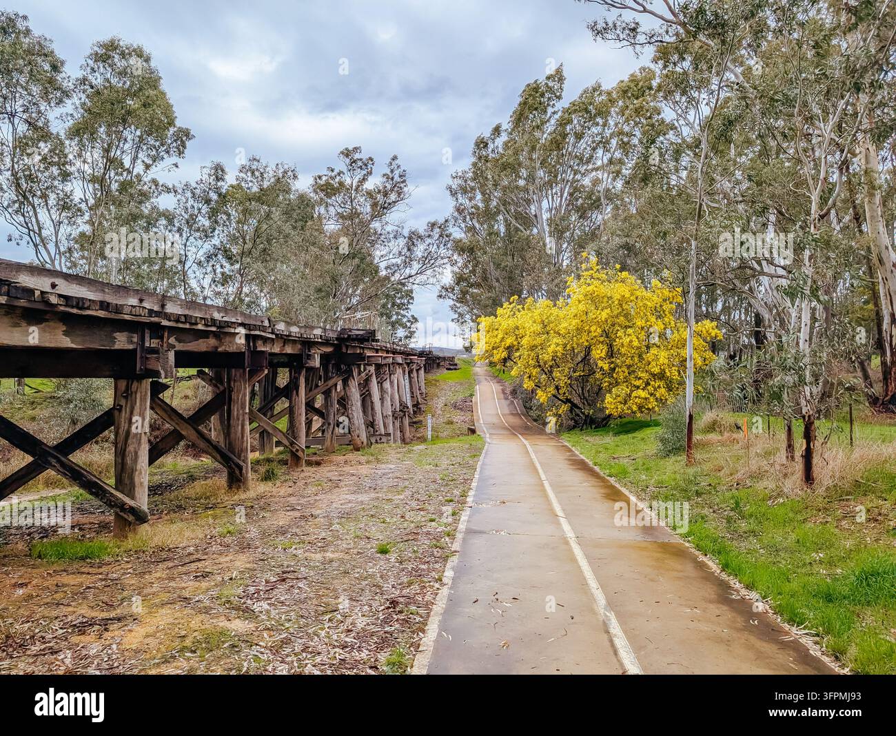 MALDON, AUSTRALIA - 7 SETTEMBRE 2025: Sentiero ciclopedonale pavimentato da Castlemaine a Maldon lungo un vecchio ponte ferroviario in legno f Foto Stock