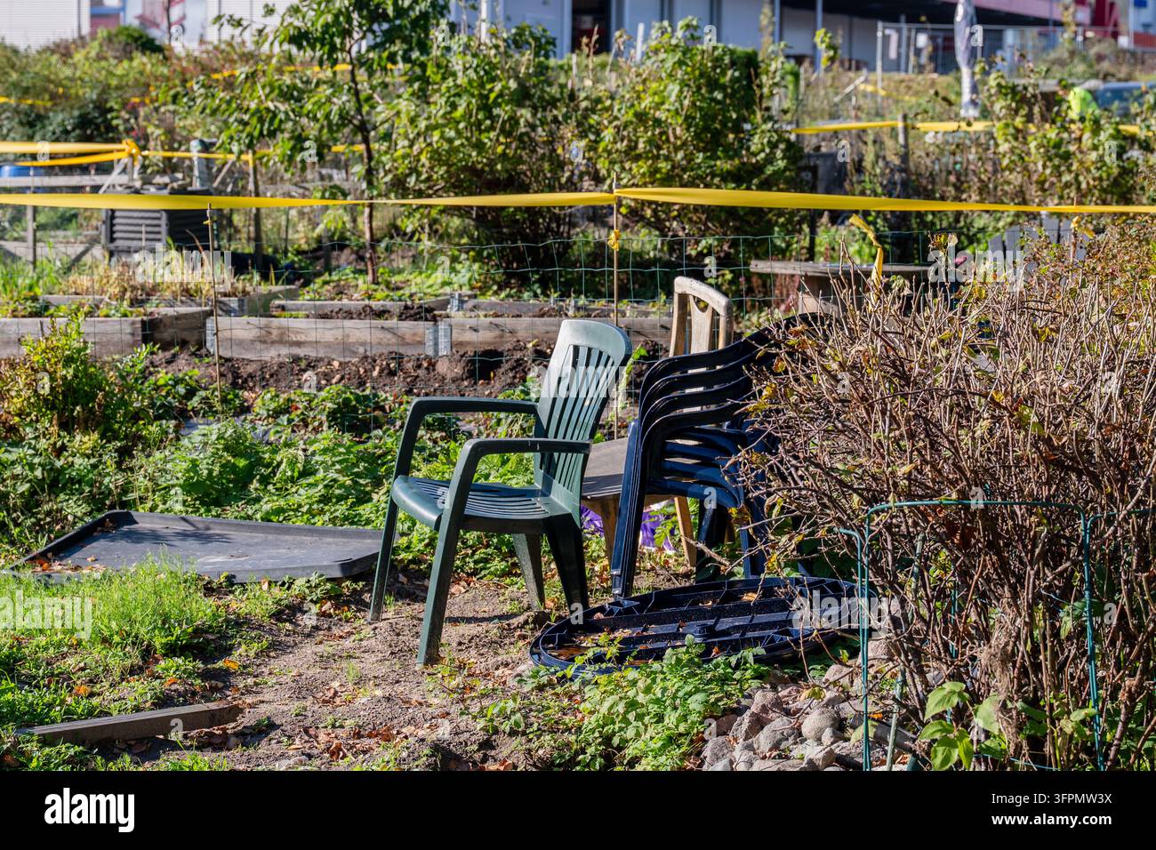 Sedie da giardino in plastica accatastate accanto ad aiuole rialzate in un orto comunitario urbano in una giornata autunnale soleggiata Foto Stock