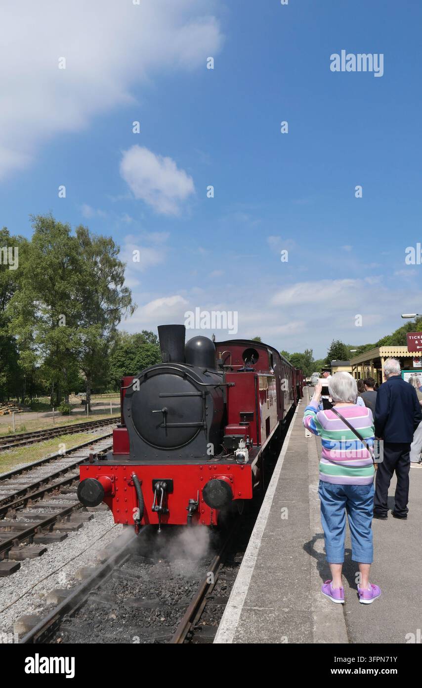 Treno a vapore in corsa su una ferrovia storica britannica Foto Stock
