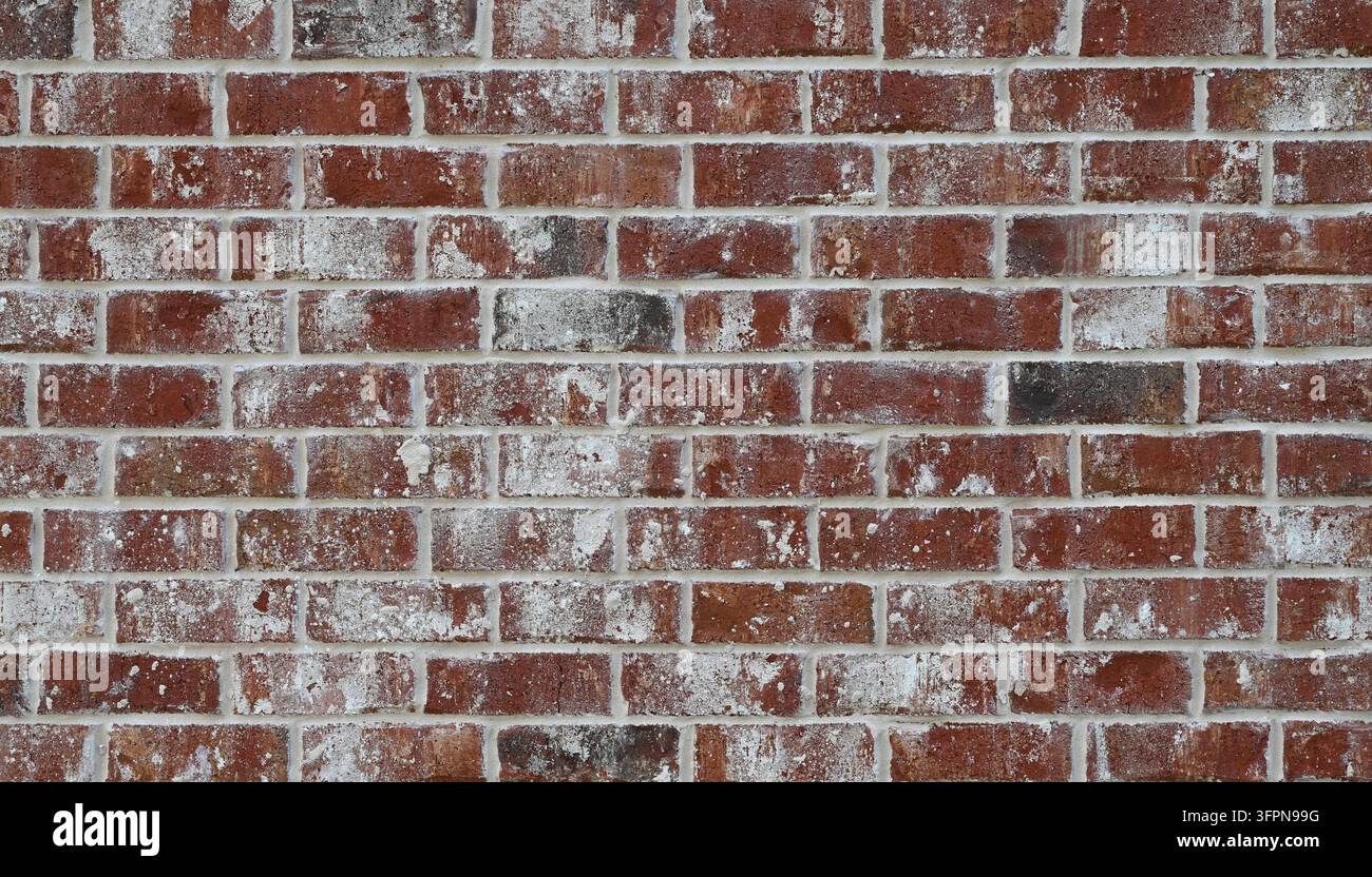 Primo piano di un muro di mattoni rossi variegati con crema bianca tedesca in una composizione orizzontale, che mostra superfici di mattoni ruvide Foto Stock