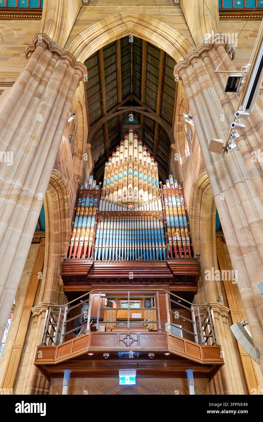 Pipiste d'organo stampate in blu, nella Cattedrale di Sant'Andrea a Sydney, Australia Foto Stock