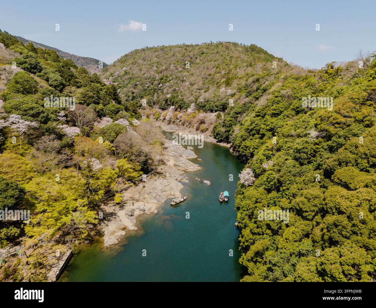 Vista aerea del fiume Hozugawa che scorre attraverso una valle boschiva lussureggiante con fiori di ciliegio in fiore e barche di legno tradizionali a Kyoto, Kyoto, J Foto Stock