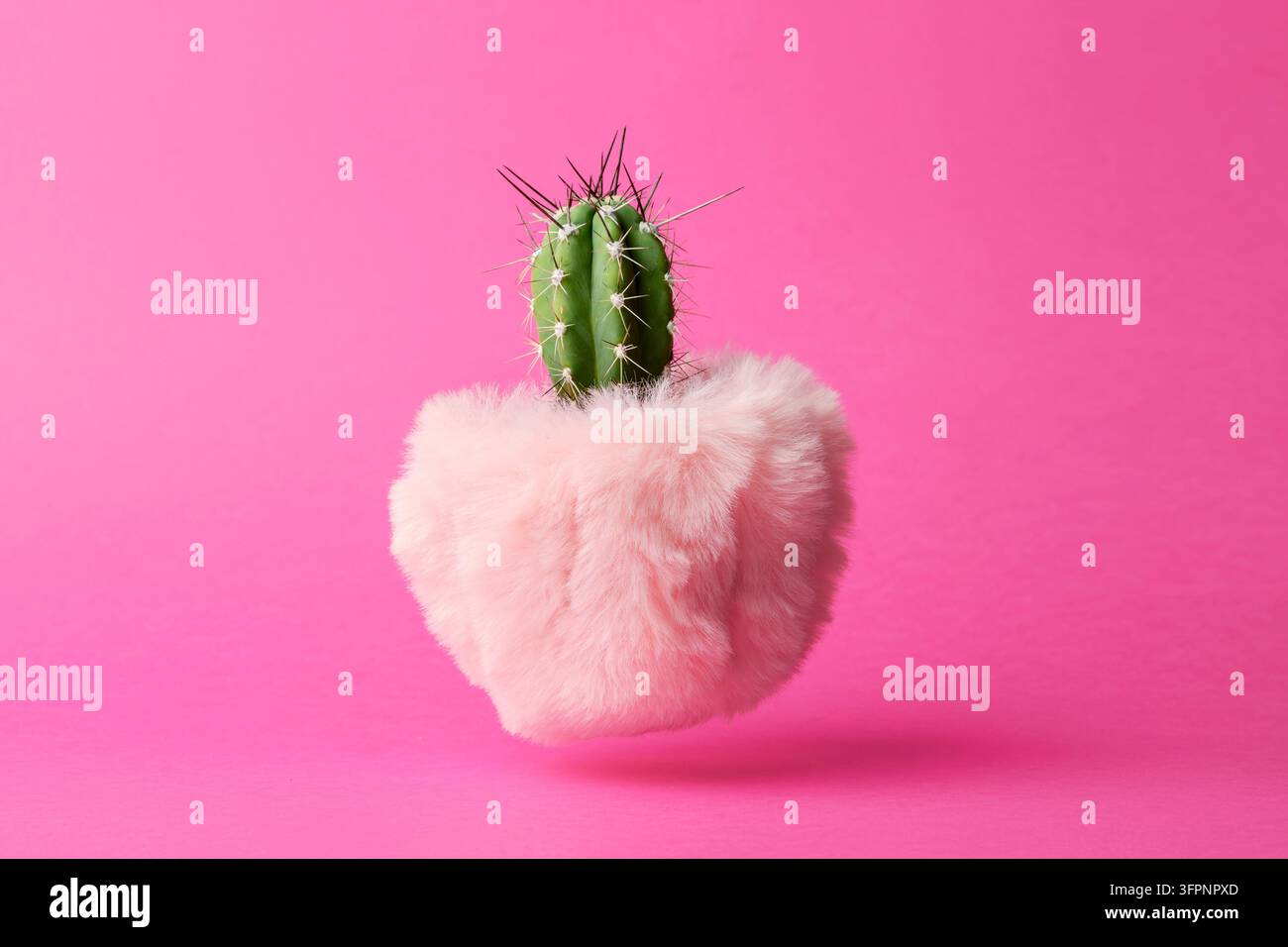 Cacto verde fluttuante in un vaso morbido e soffice su uno sfondo rosa. Un concetto creativo di arredamento e design. Foto Stock
