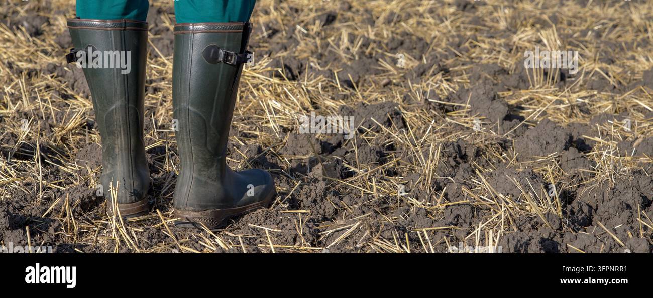 Un agricoltore con stivali di gomma verdi si trova di spalle su un campo appena arato, asciutto e pieno di resti di paglia. Foto Stock