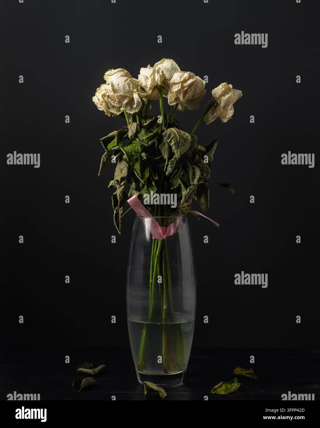 Rose bianche appassite in vaso trasparente su sfondo scuro mostrano una quieta romanticità sbiadita, perdita e fine della celebrazione con spazio per il testo. Foto Stock
