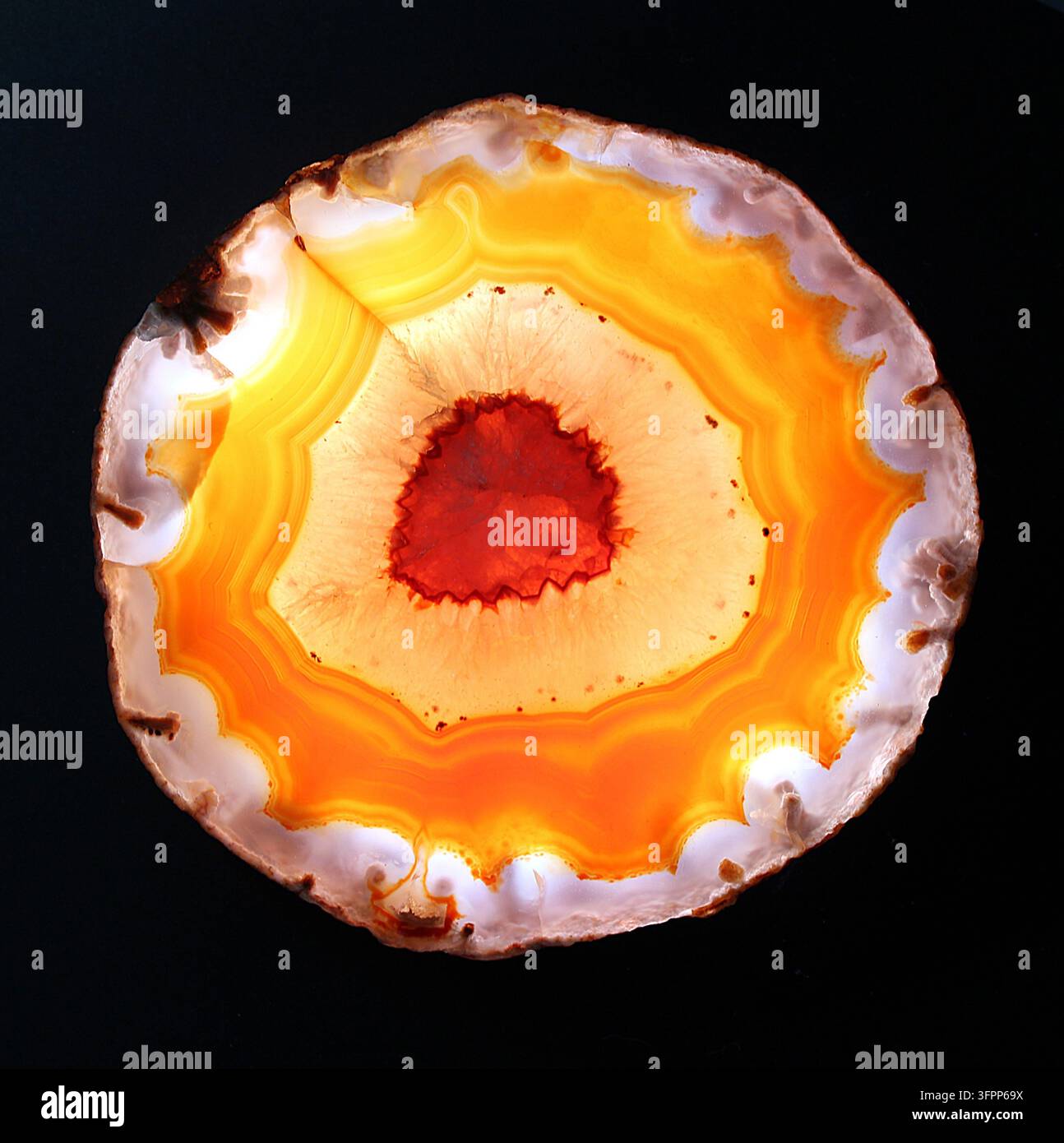 Agaata arancione, bianca e rossa tagliata e lucidata, illuminata da dietro Foto Stock