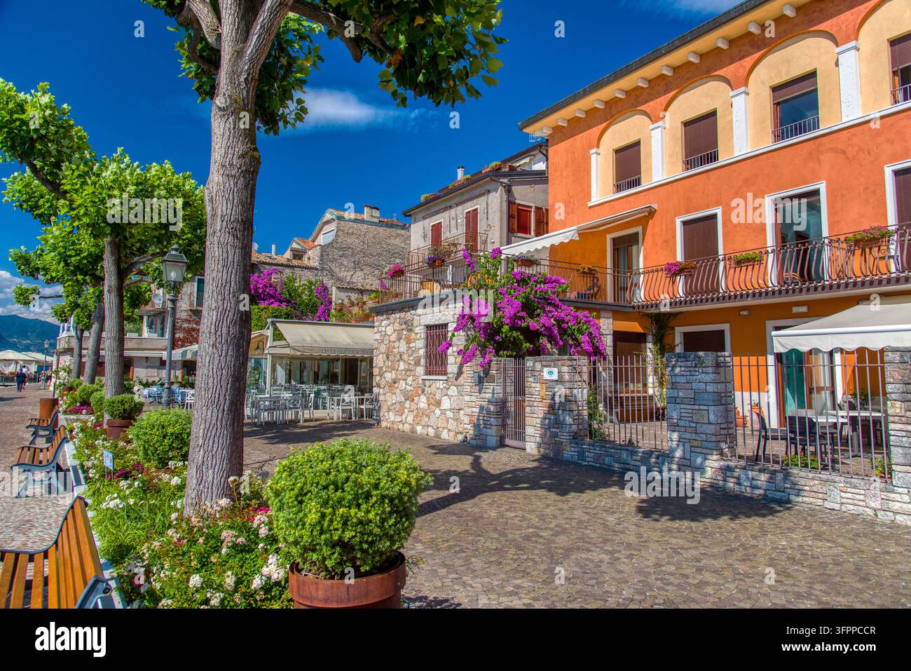 Promenade soleggiata a Torri del Benaco sul Lago di Garda con edifici arancioni vivaci, bougainvillea viola in fiore, alberi ben curati e parco in legno Foto Stock