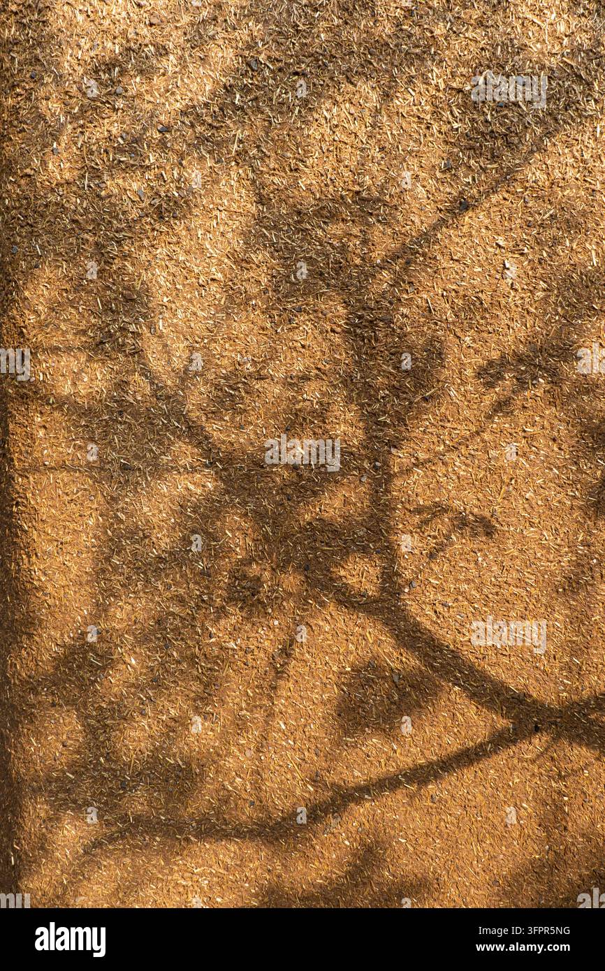 Muro di fango ruvido e rustico con motivi di ombra d'albero screziati alla luce calda del sole Foto Stock