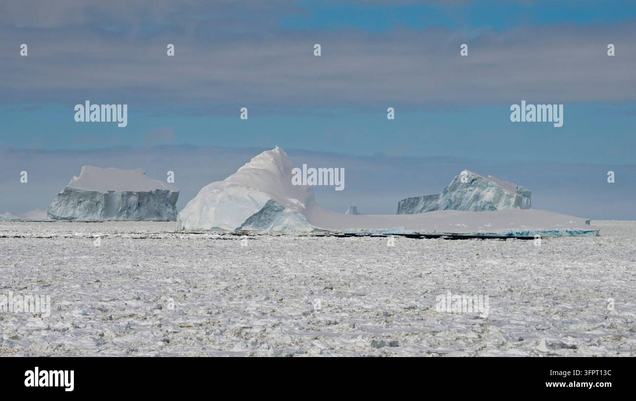 Ghiaccio marino e iceberg, Crystal Sound, Antartide Foto Stock