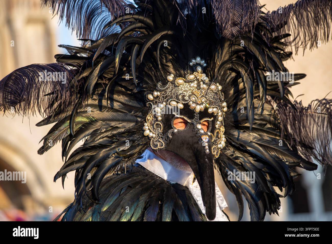 Carnevale di Venezia - Dottore della Peste con copricapo di piume nere Foto Stock