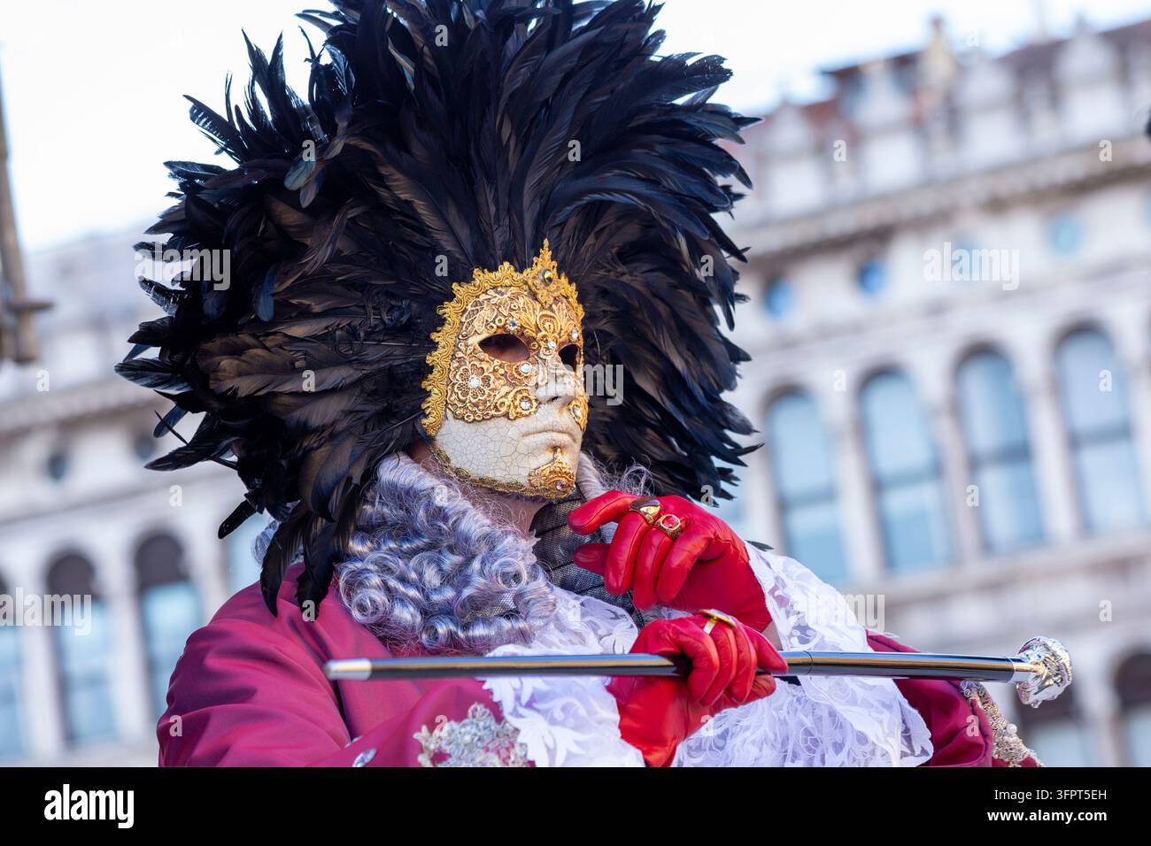 Copricapo a piume nere del Carnevale di Venezia Foto Stock