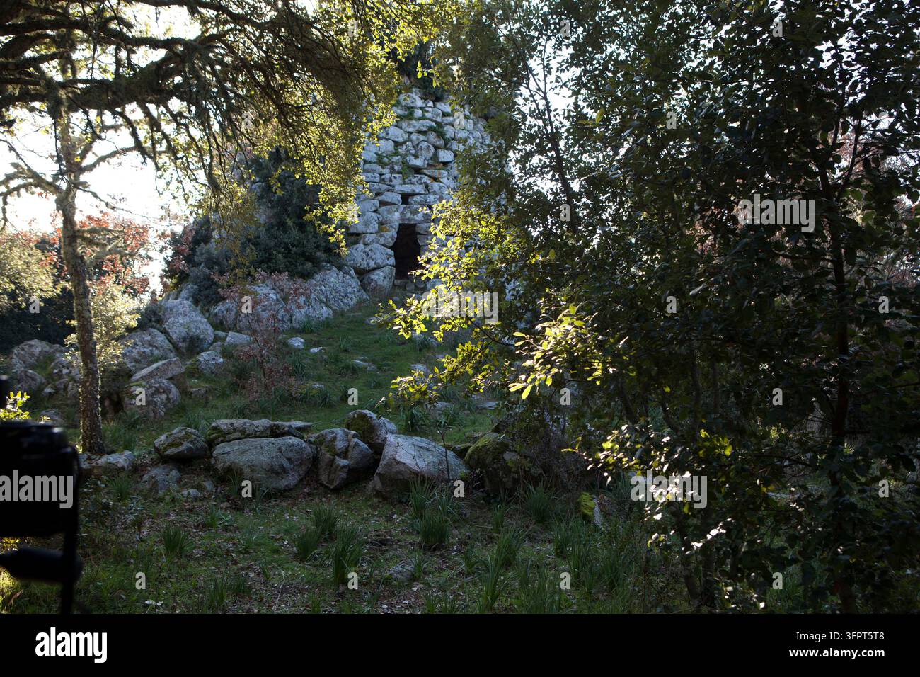 Antica struttura in pietra in un'area boschiva con vegetazione e luce solare che filtra attraverso gli alberi Foto Stock