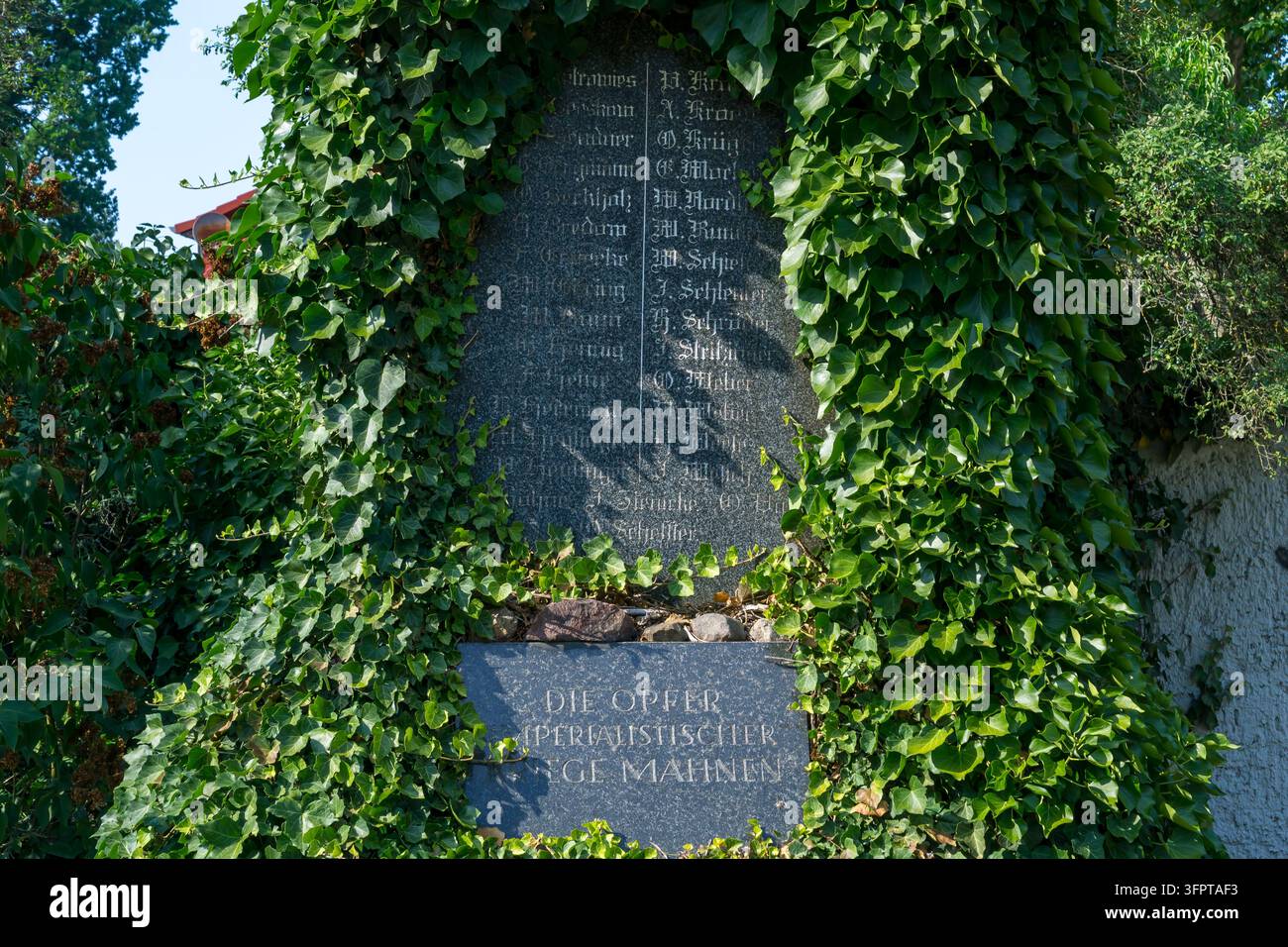 Dettaglio di un monumento ai caduti ricoperto di edera a Michendorf, Brandeburgo, Germania. Foto Stock