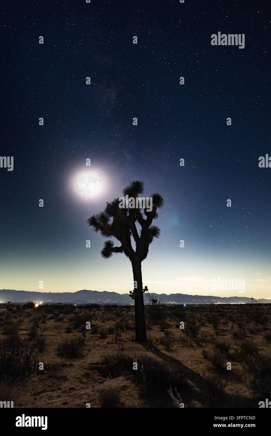Paesaggio notturno del deserto illuminato dalla luna Foto Stock