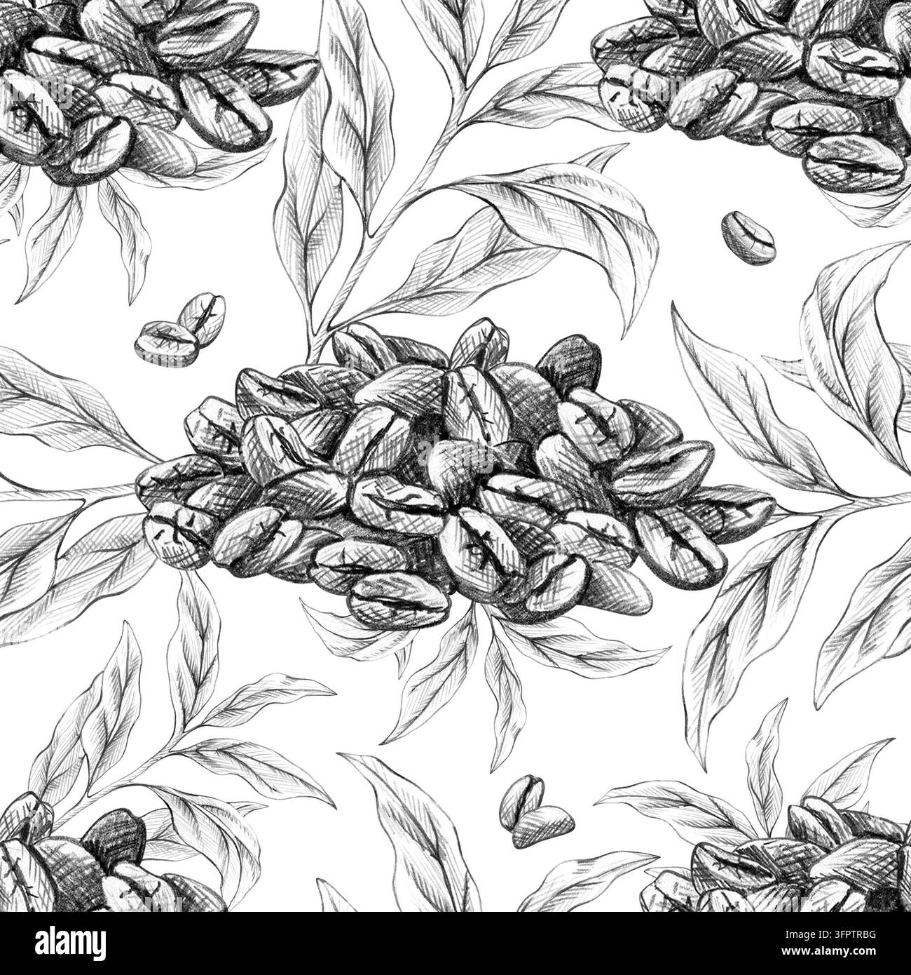 Grani di caffè tostati su rami frondosi motivo senza cuciture, illustrazione a matita di grafite disegnata a mano. Schizzo botanico dettagliato, stile vintage monocromo Foto Stock