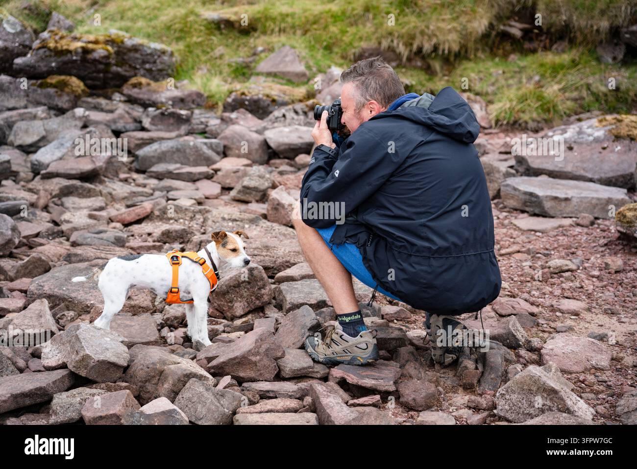 UOMO CHE FOTOGRAFA UN CANE CARINO SU UNA SPIAGGIA ROCCIOSA, PASSEGGIANDO CON I CANI NELLE BRECON BEACONS, GALLES: BRECON BEACONS, GALLES, 2018: Un fotografo maschio si inginocchia su una riva rocciosa per scattare una foto di un piccolo cane bianco e marrone che guarda attentamente verso la fotocamera. INFO: Il classico percorso circolare Fan Brycheiniog nel Parco Nazionale dei Brecon Beacons è un'escursione drammatica ad altitudine elevata lungo la cresta. I punti salienti includono viste sulla catena montuosa verso Pen Y Fan e il pittoresco lago glaciale Llyn y Fan Fach. Foto Stock