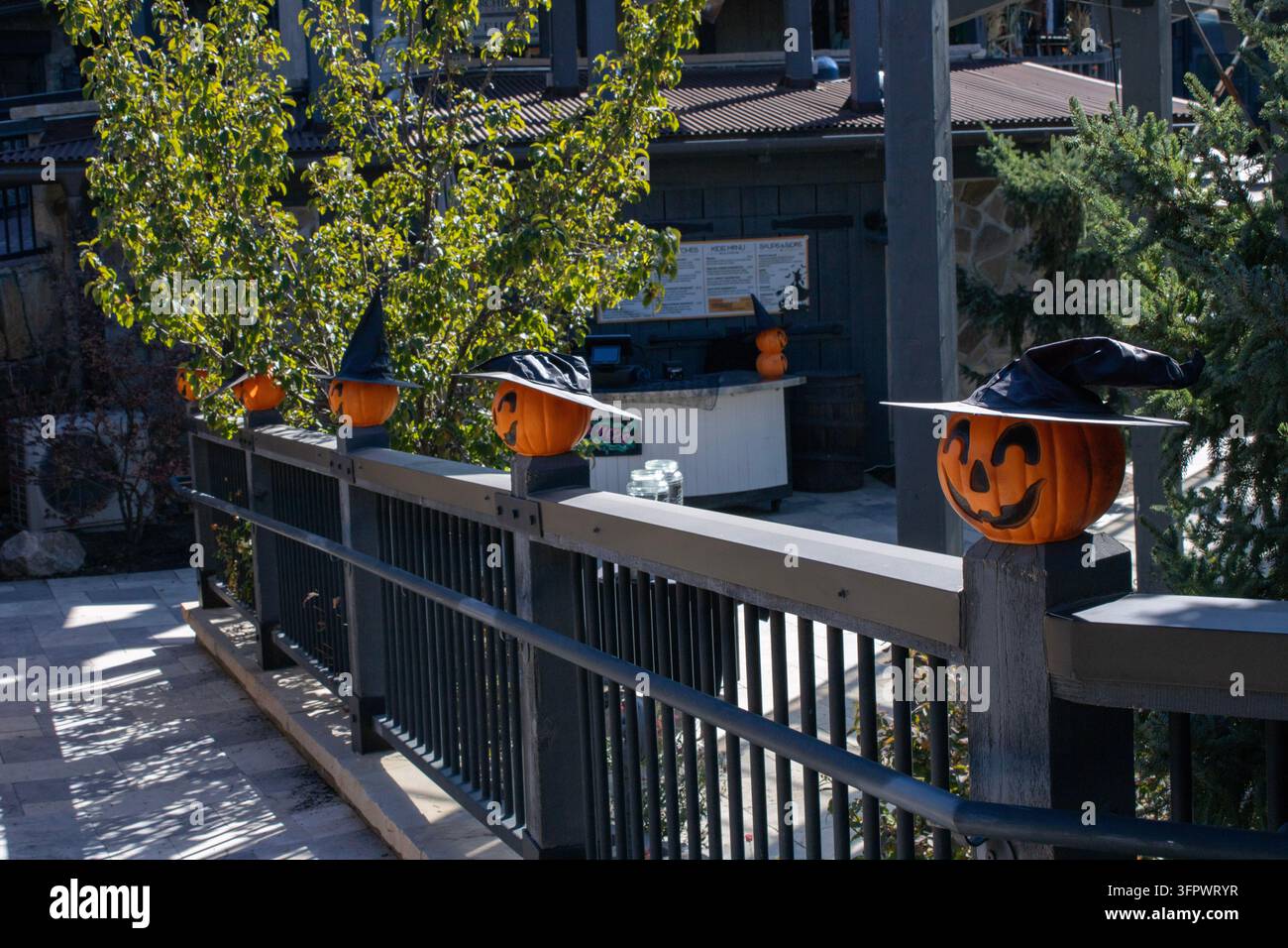 Decorazioni di Halloween al WitchFest al Gardner Village Foto Stock