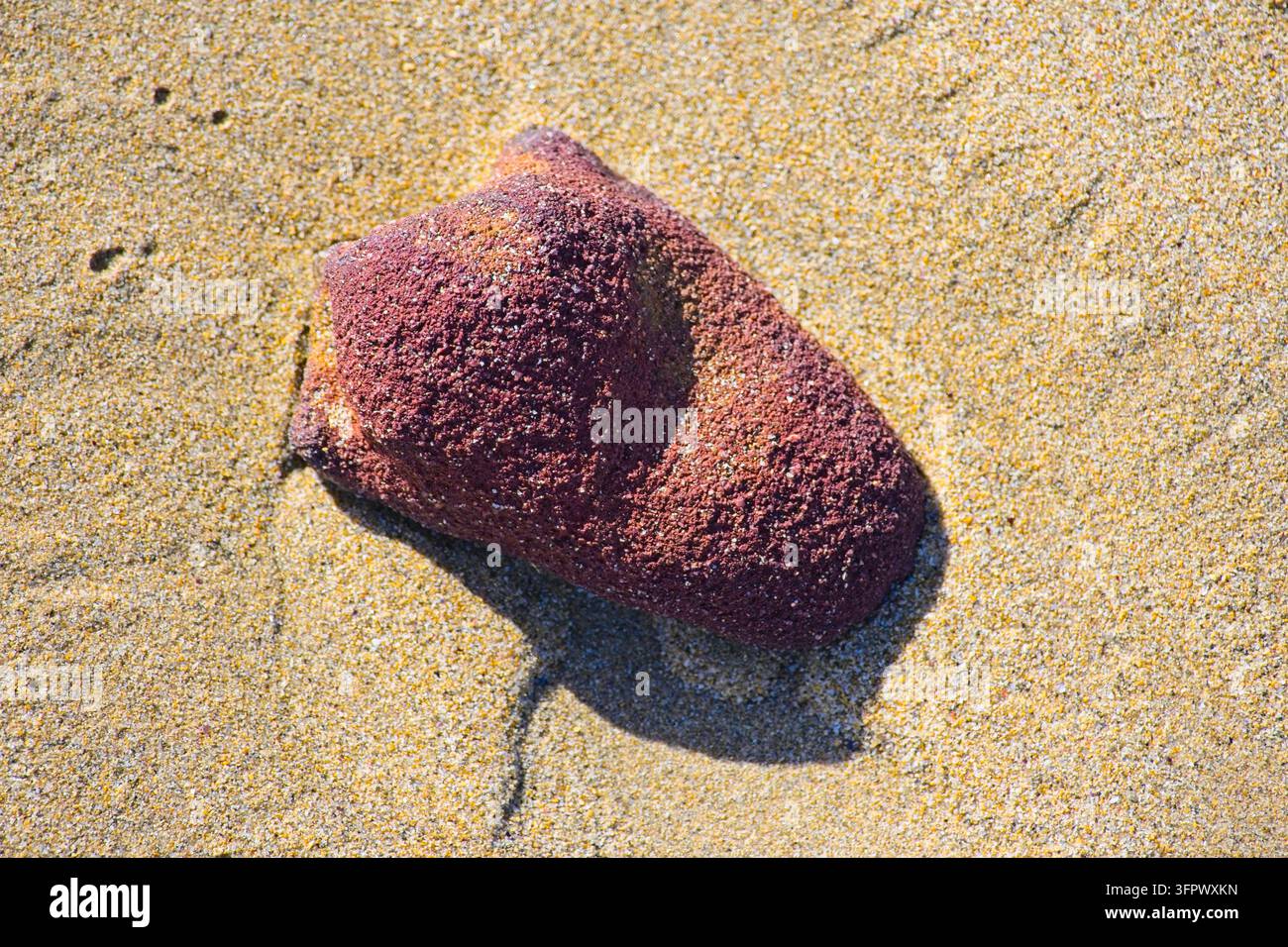 Pietra seduta nella sabbia su una spiaggia alla luce del sole Foto Stock
