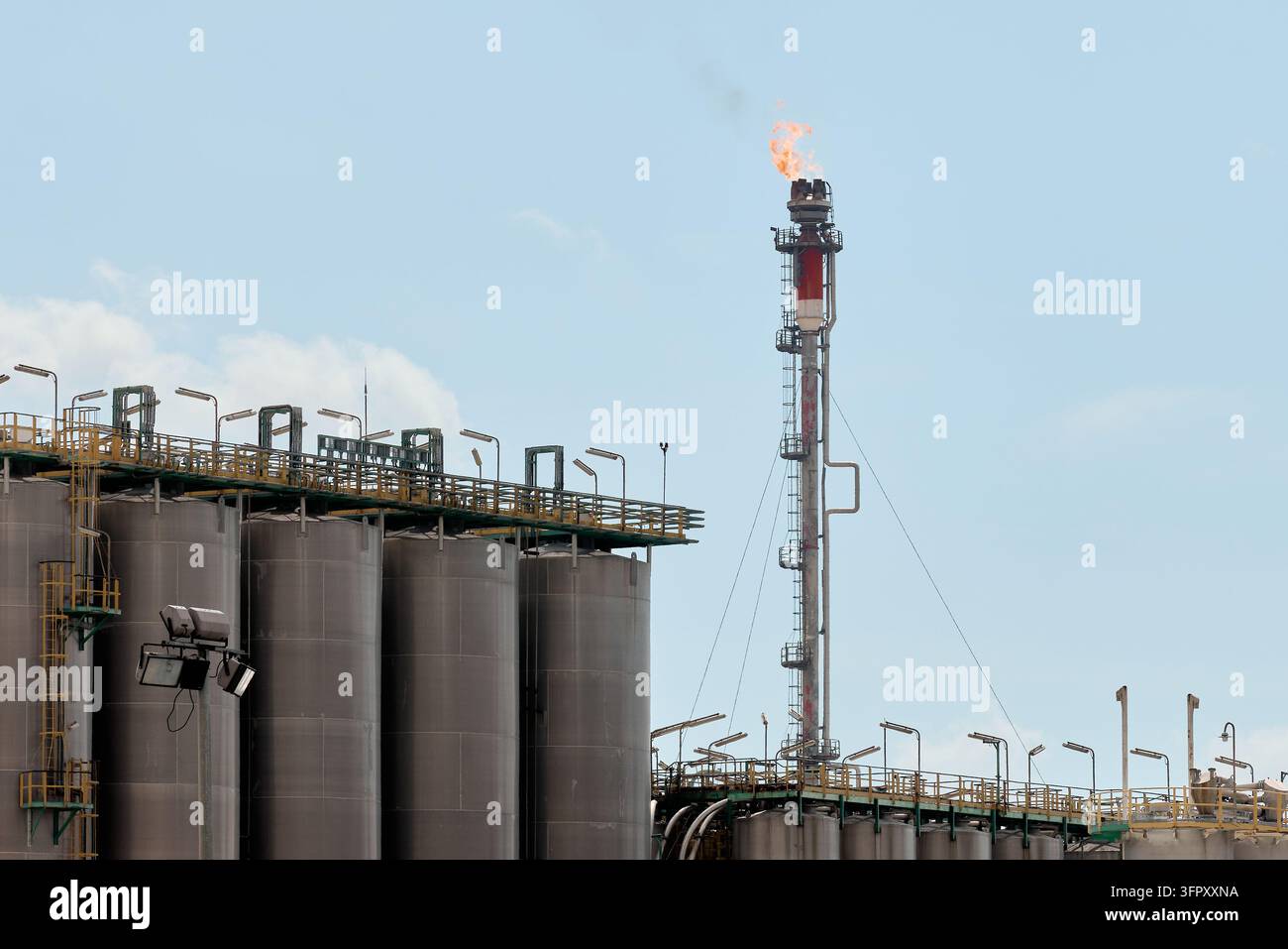 Torcia a gas industriale che brucia il gas in eccesso sopra una raffineria petrolchimica con file di silos di stoccaggio verticali in acciaio inossidabile, passerelle Foto Stock