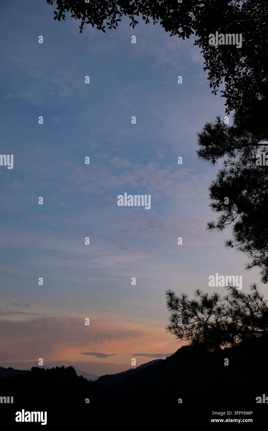 Cielo sereno al crepuscolo incorniciato da silhouette di alberi con colori sfumati del tramonto Foto Stock