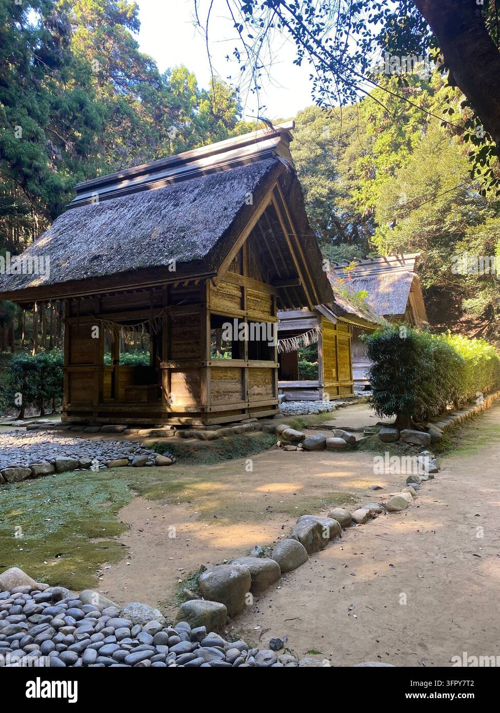 GIAPPONE-CIRCA 2023: Edifici tradizionali in legno del santuario shintoista con tetti di paglia al Santuario Sakurai a Itoshima, Fukuoka, all'interno di una foresta tranquilla. - Immagine stock catturata con smartphone