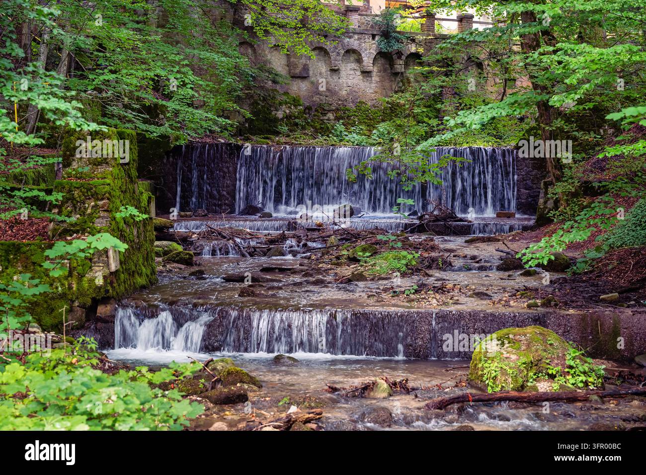 Piccola cascata a gradini che scorre su pietre attraverso un bosco lussureggiante vicino al castello di Pelișor in Romania Foto Stock