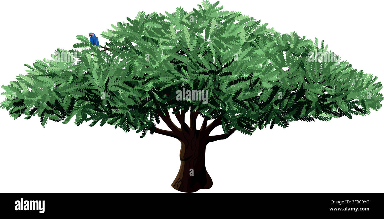 Albero verde maturo dettagliato con un pappagallo ara blu appollaiato tra i suoi rami Illustrazione Vettoriale