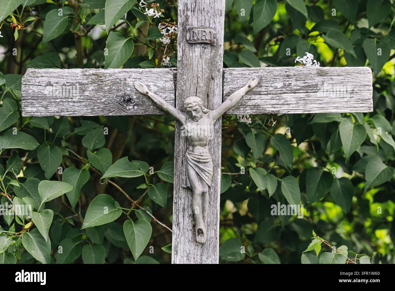 Crocifisso di legno stagionato con la figura di Gesù Cristo su fogliame verde. Sfondo di fede cristiana per devozione religiosa, preghiera e spiritualità. Foto Stock