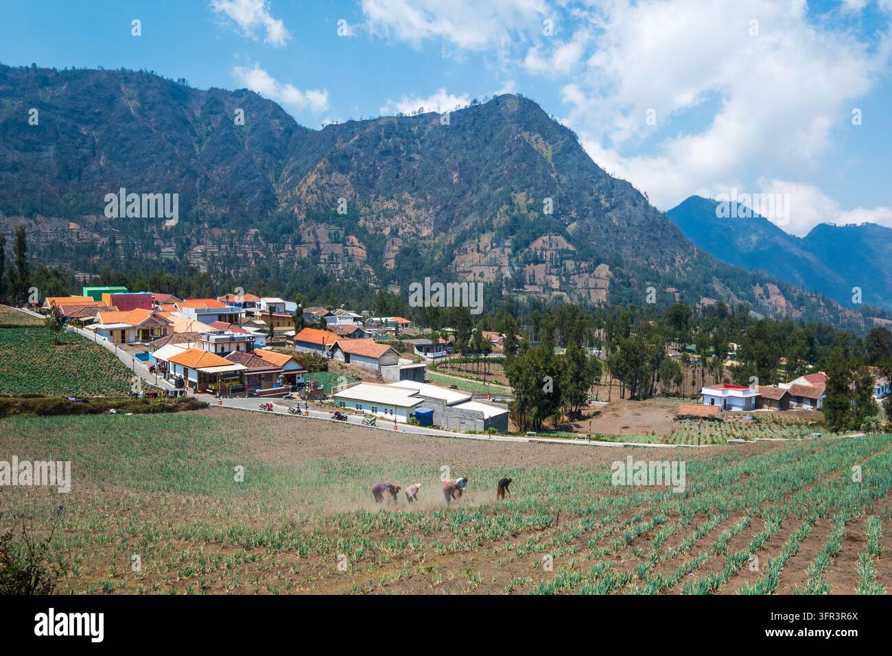 Paesaggio rurale di Cemoro Lawang, isola di Giava, Indonesia Foto Stock