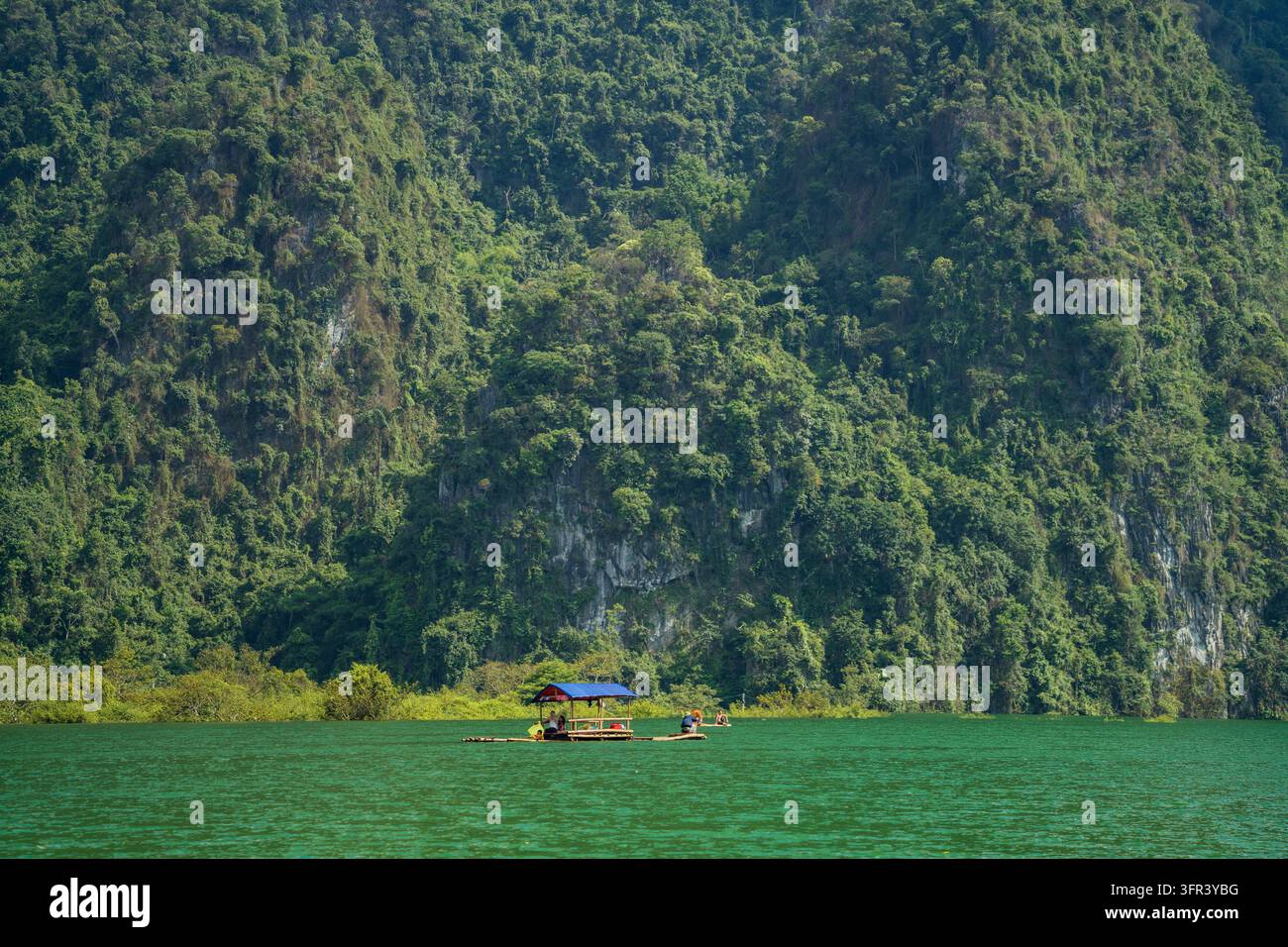 Barca di bambù con tettoia blu che galleggia sotto ripide scogliere di calcare ricoperte di foreste su un lago verde, Dong Lam, Huu Lung, Lang Son, Vietnam Foto Stock
