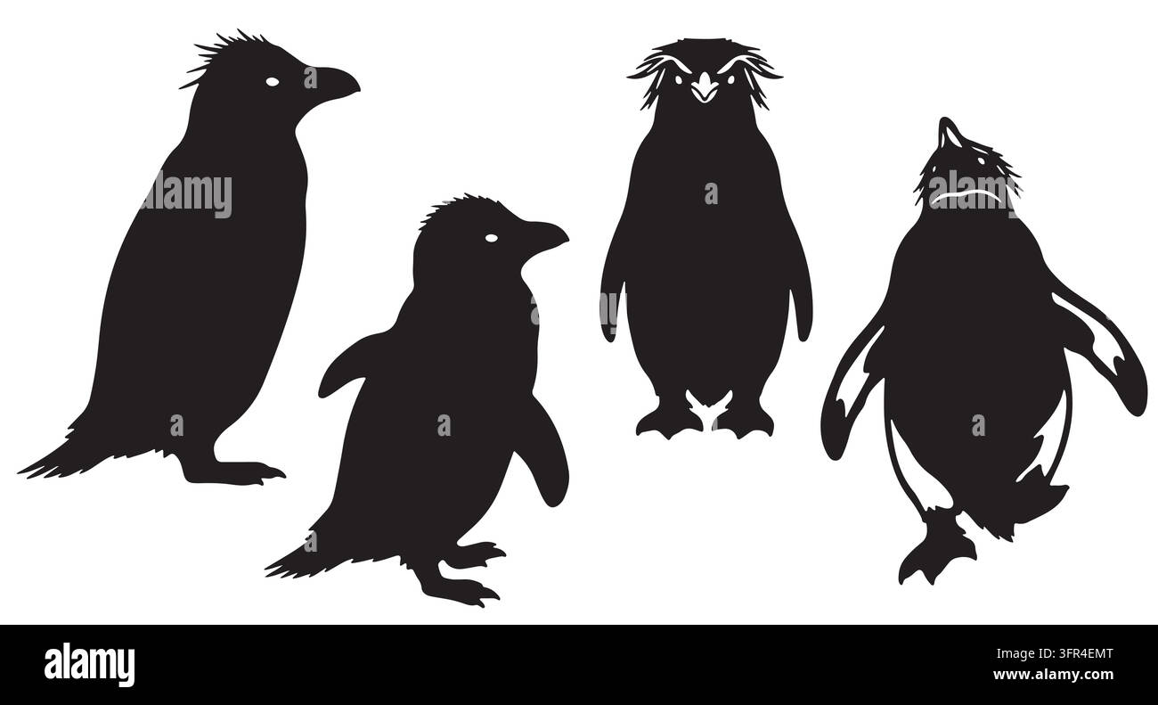 Collezione di silhouette di pinguini in diverse posture con uccello non volante Illustrazione Vettoriale