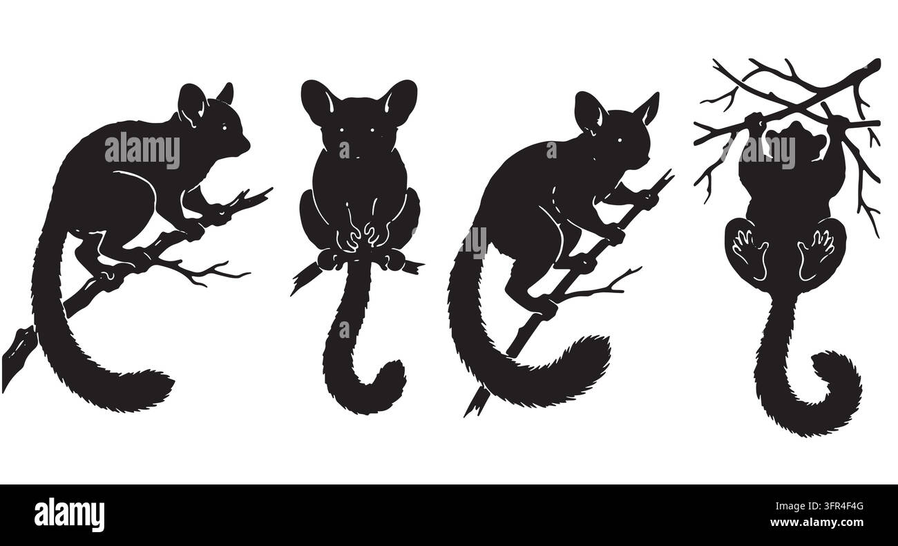 Collezione di sagome nere di koala australiani sugli alberi con orso Illustrazione Vettoriale