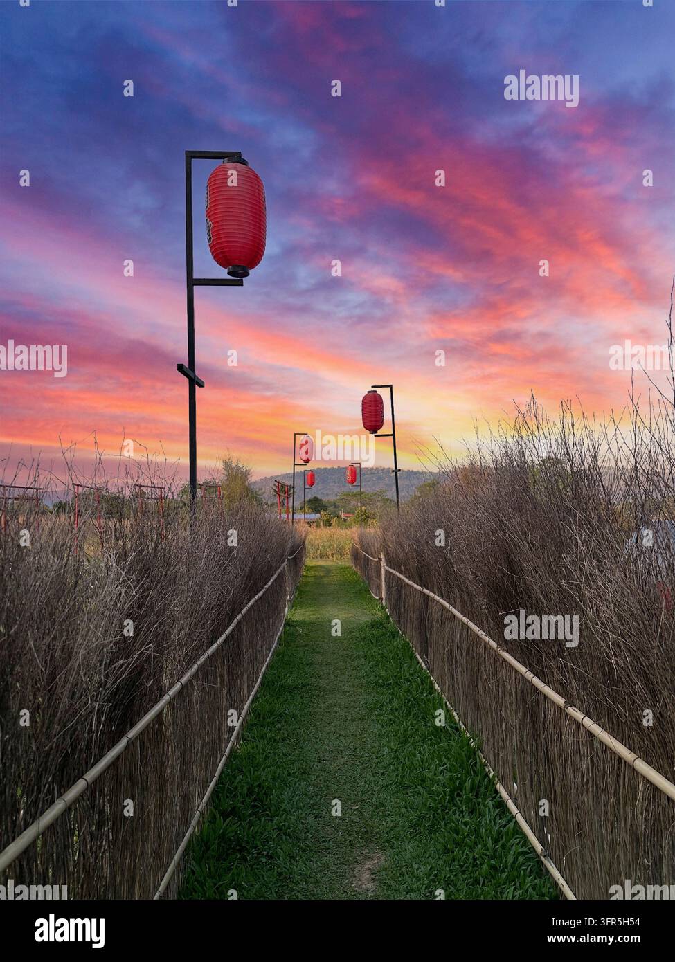 Sentiero del giardino con cielo splendido Foto Stock