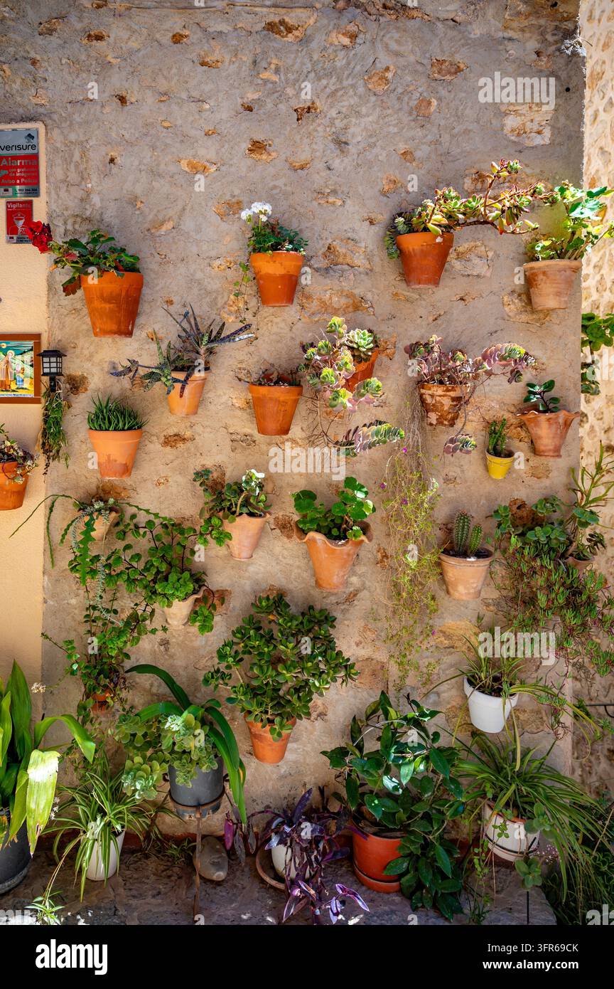 Bellissimo muro decorato con vasi di piante attaccati a un vecchio muro di Valldemossa, Maiorca, scatto verticale durante il giorno di sole, Maiorca Foto Stock