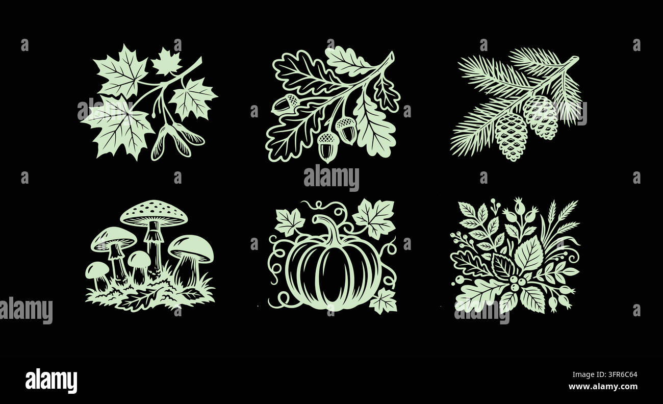 Set di grafica con elementi di fogliame autunnale e della foresta con funghi Illustrazione Vettoriale