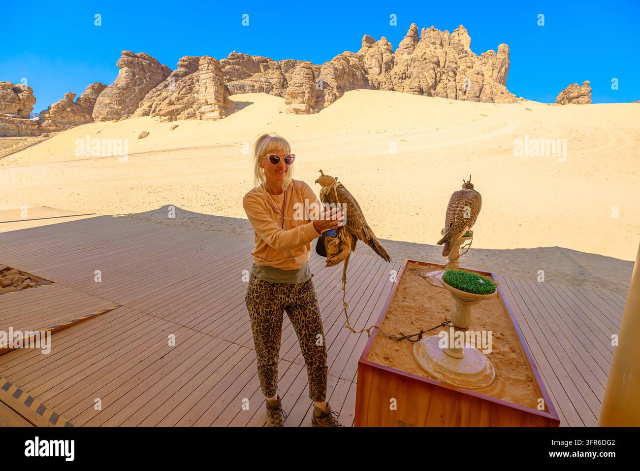 Donna che tiene un falco pellegrino, appoggiato sulla sua mano guantata, che mostra una tradizione del deserto a Wadi Alna'am, AlUla, sullo sfondo di formazioni rocciose Foto Stock