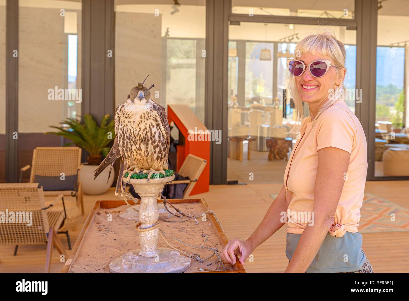 Donna bionda su un ponte di legno che sorride mentre osserva un falco incappucciato su un trespolo nella panoramica valle desertica di Wadi Alna'am, AlUla, connettendosi con il Foto Stock