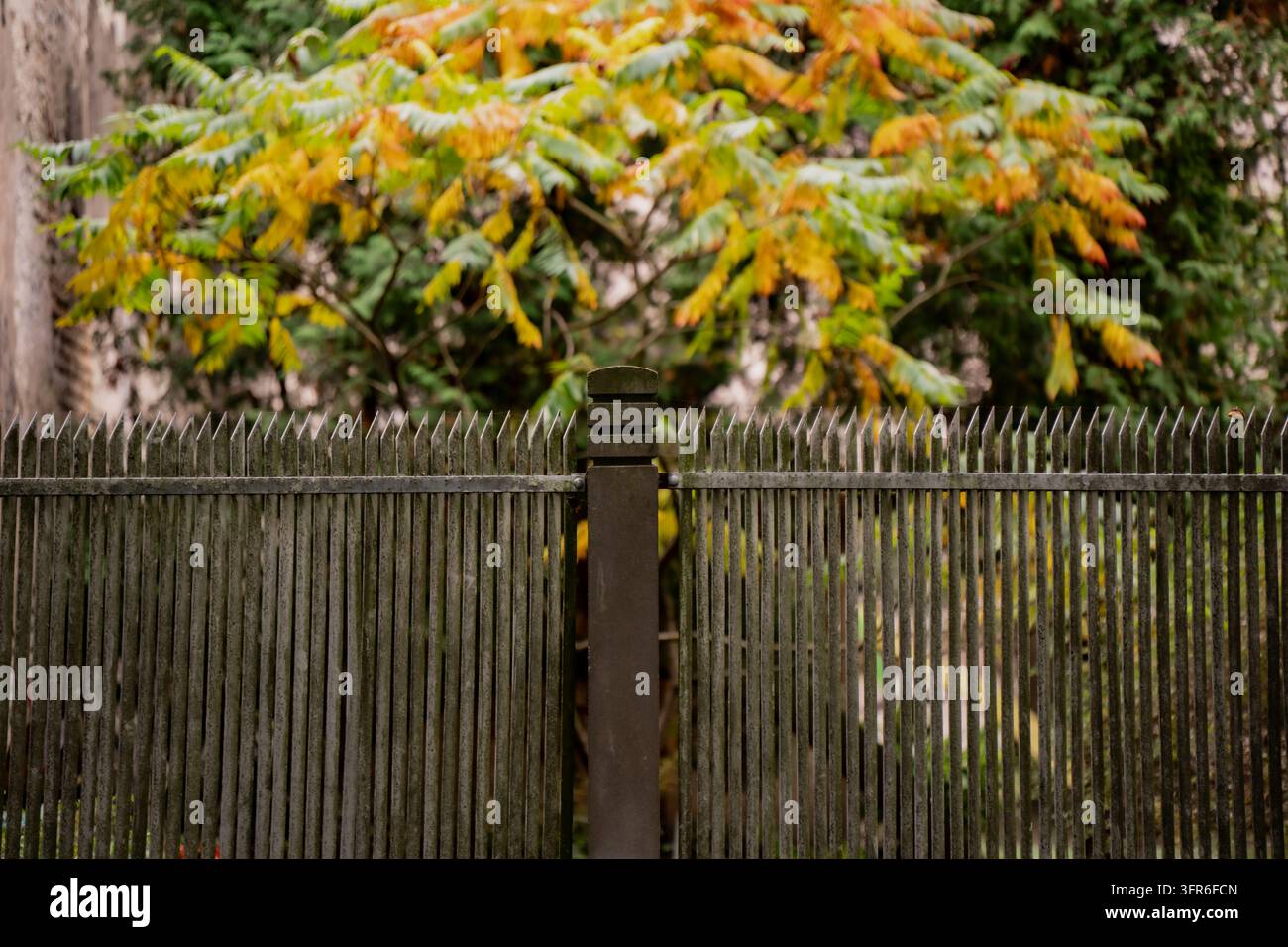 Le barre appuntite del recinto, ravvicinate, corrono tra pali sostanziali accanto agli alberi autunnali, mostrando una struttura di confine fissa usata per separare il terreno piantato Foto Stock