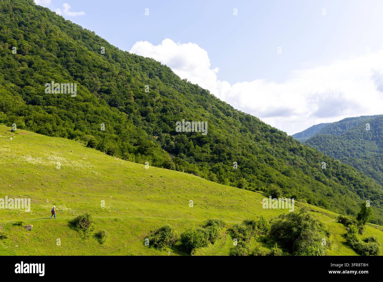 Escursionista che attraversa un prato montano verde circondato da colline boscose, provincia di Lori, Haghpat, Armenia Foto Stock