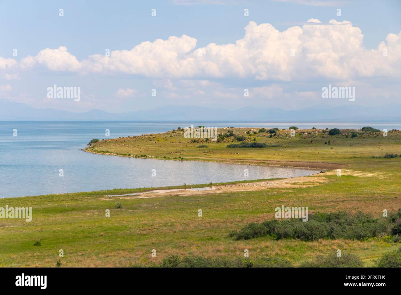 Vista della riva del lago Sevan con una penisola erbosa e uccelli che si riposano vicino all'acqua sotto un cielo nuvoloso, provincia di Gegharkunik, Sevan, Armenia Foto Stock