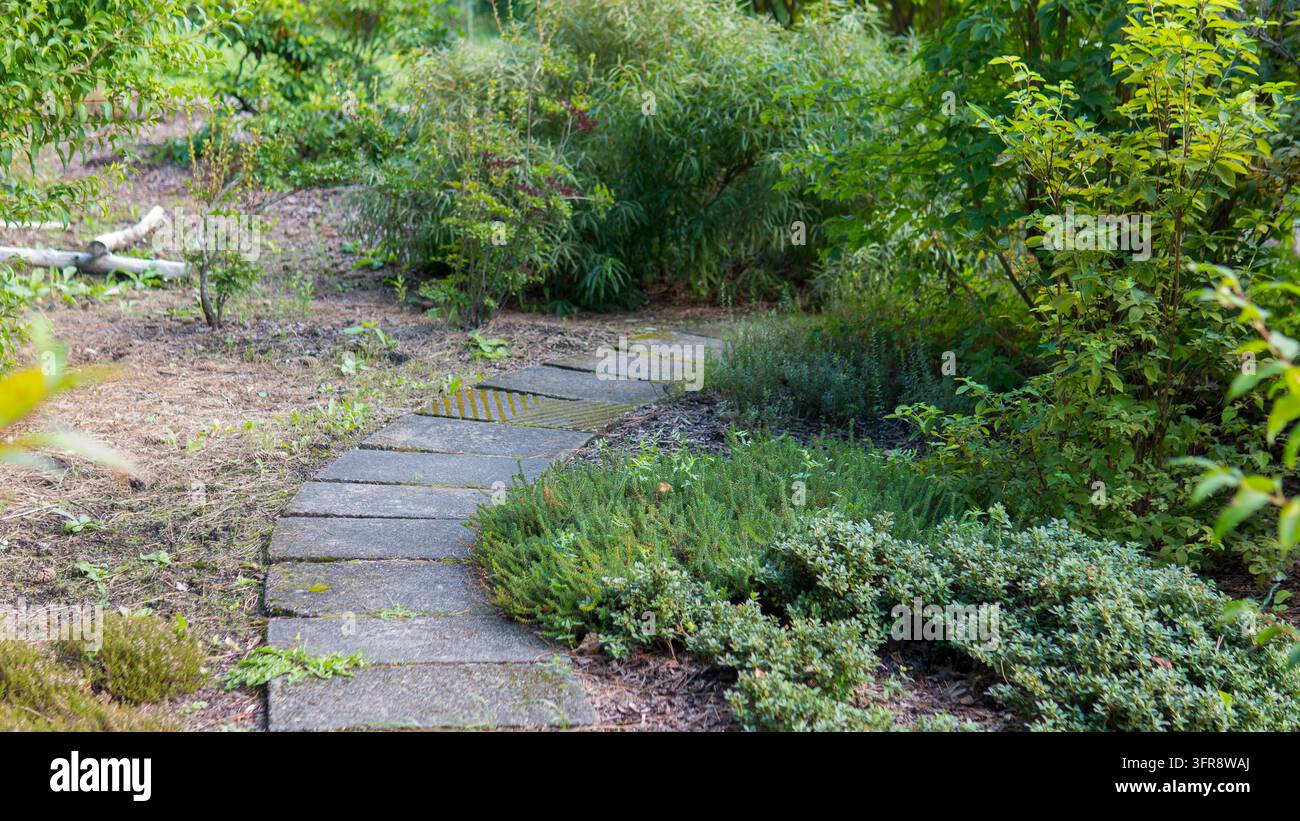 Sentiero da giardino in pietra curvo che si snoda tra arbusti verdi rigogliosi, erbe, coprisuolo e aiuole naturali in un tranquillo giardino paesaggistico Foto Stock