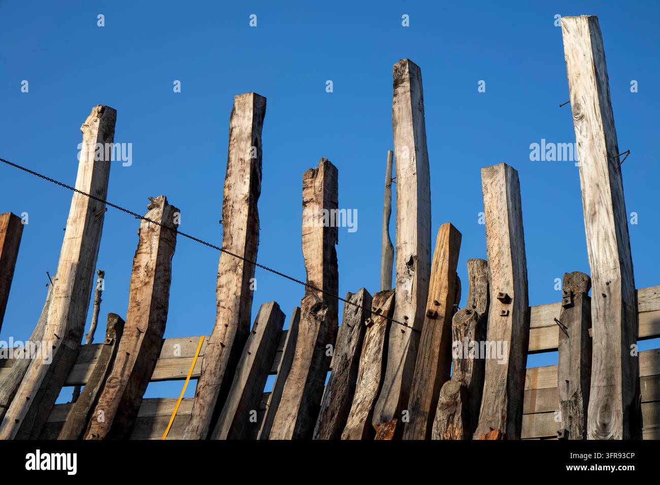 File di travi di navi in legno grezzo si ergono contro un cielo blu terso in un cantiere navale tradizionale, Gujarat, Mandvi, India Foto Stock