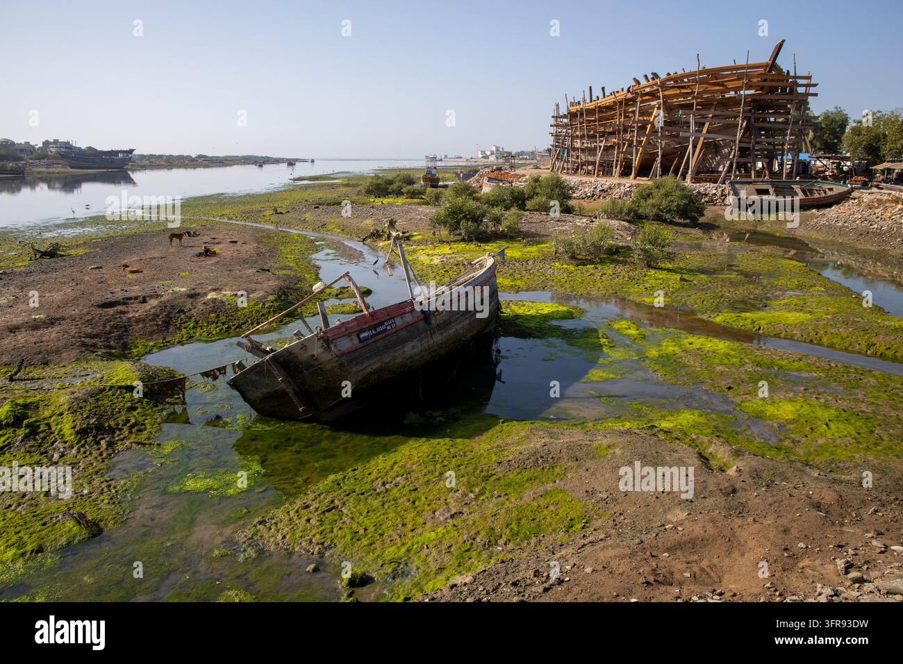 Una vecchia barca di legno è arenata su una distesa di fango ricoperta di alghe verdi vicino a un cantiere navale in costruzione, Gujarat, Mandvi, India Foto Stock