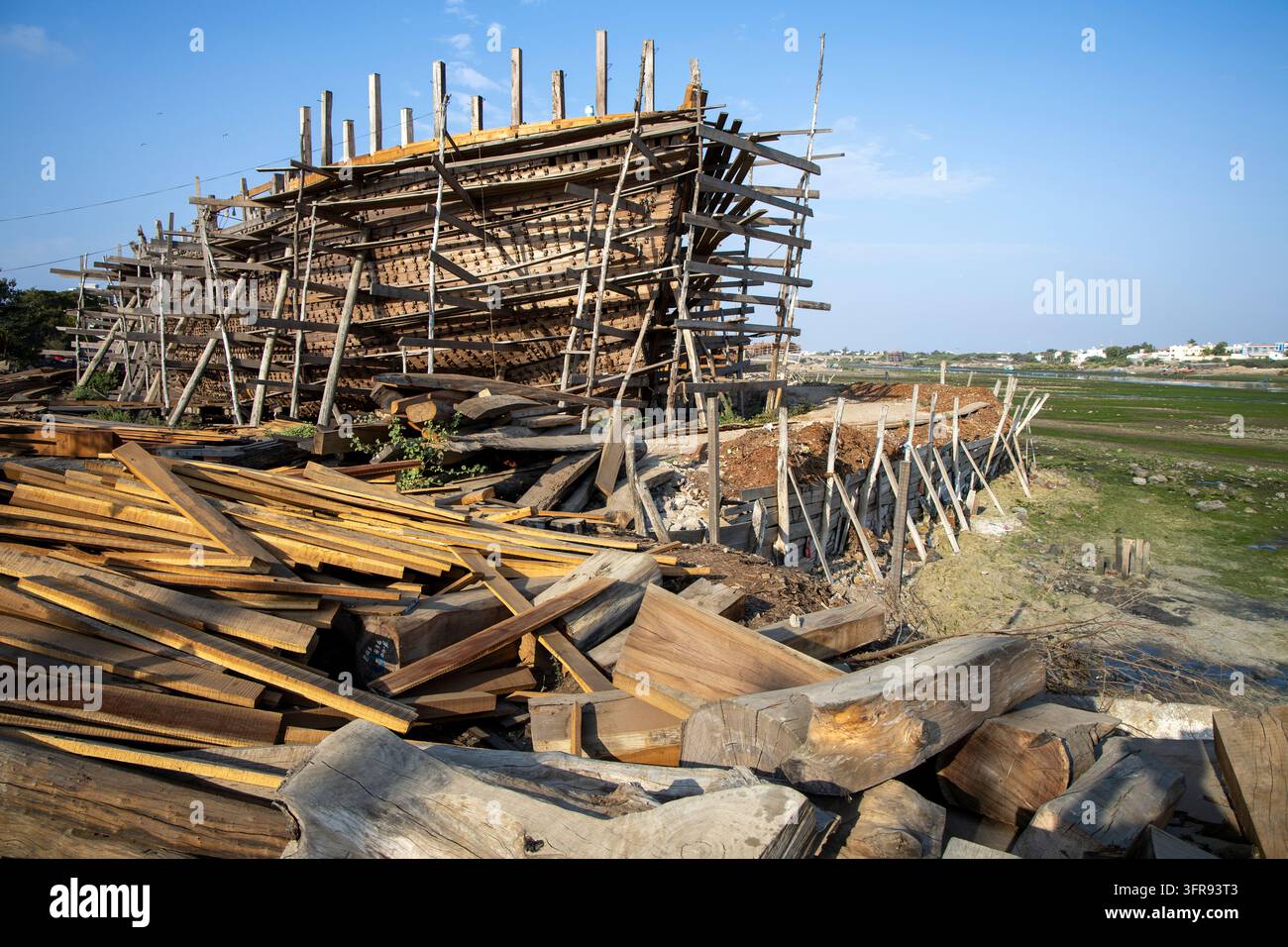Un enorme scafo di nave in legno poggia su impalcature di legno accanto a pile di tronchi di legno appena tagliati in un cantiere navale, Gujarat, Mandvi, India Foto Stock