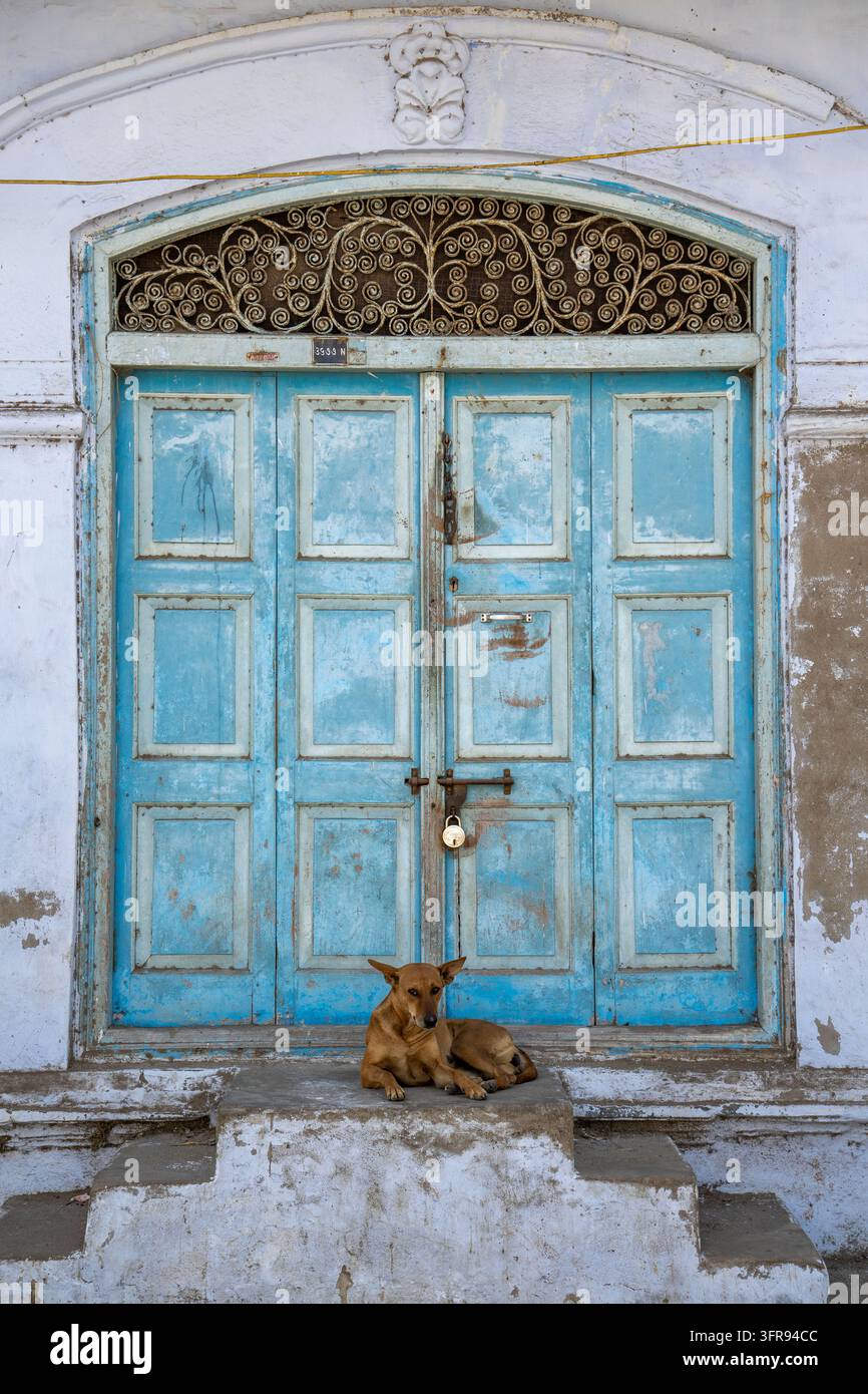 Un cane randagio riposa sotto una porta blu ad arco sormontata da un transetto in ferro battuto ornato, Gujarat, Mandvi, India Foto Stock