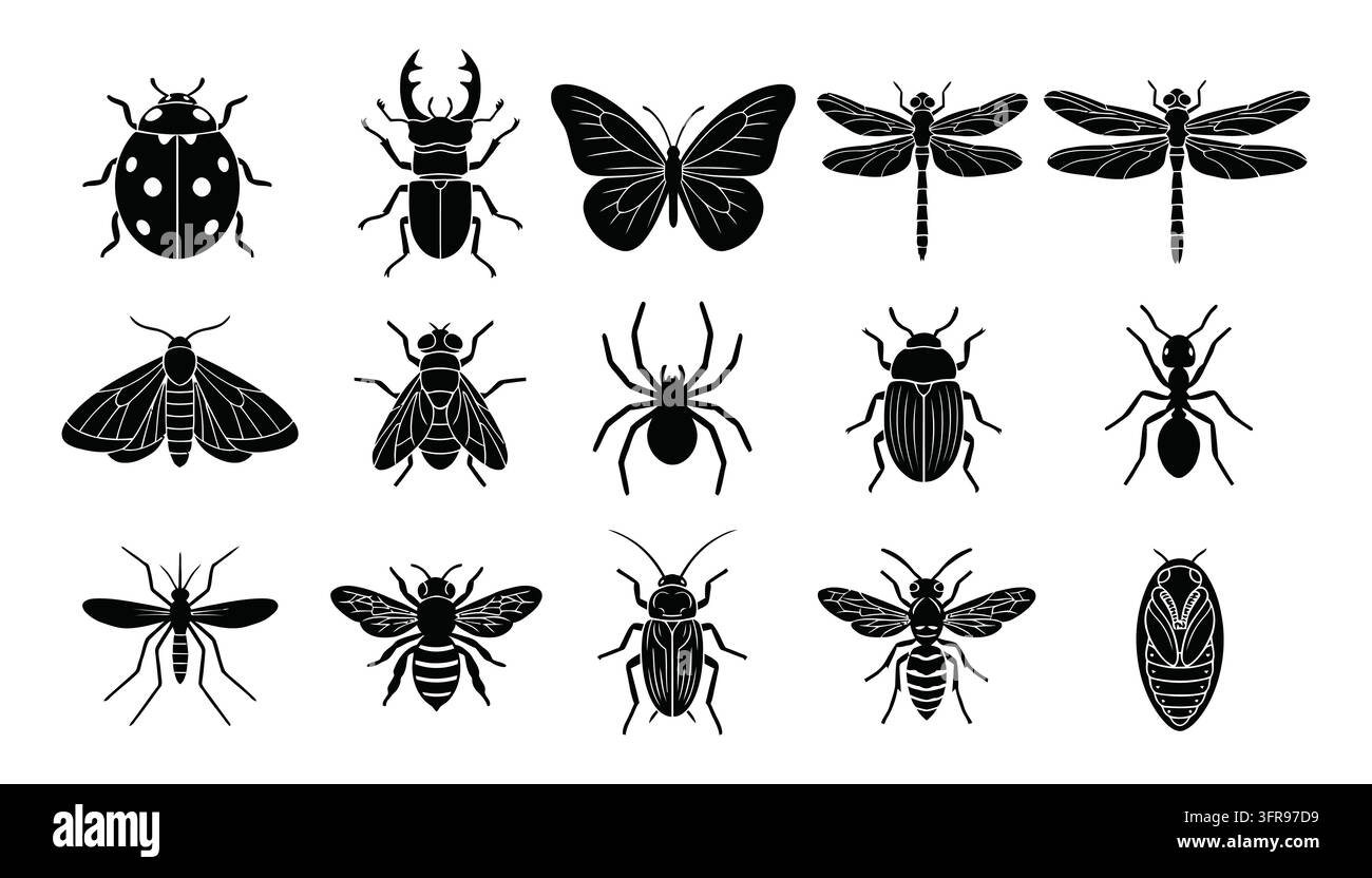 Collezione dettagliata di insetti e coleotteri comuni rappresentati come vettori neri Illustrazione Vettoriale