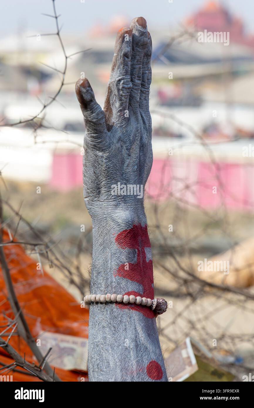 Mano e avambraccio sollevati coperti di cenere grigia con segni rossi e un bracciale di perle contro rami spinosi, Uttar Pradesh, Prayagraj, India Foto Stock