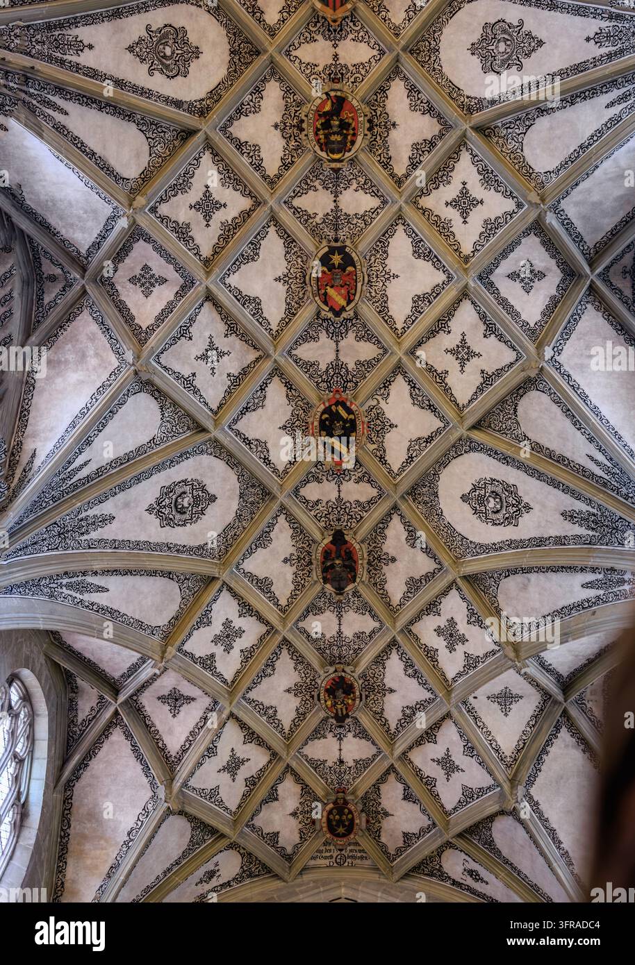 Berna, Svizzera - 25 luglio 2024: Cattedrale gotica del Minster con volta a crociera decorata con intricate grottesche floreali e stemmi araldici Foto Stock